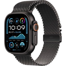 Умные часы Apple Watch Ultra 2 (2024) GPS + Cellular 49mm Black Titanium Milanese Loop